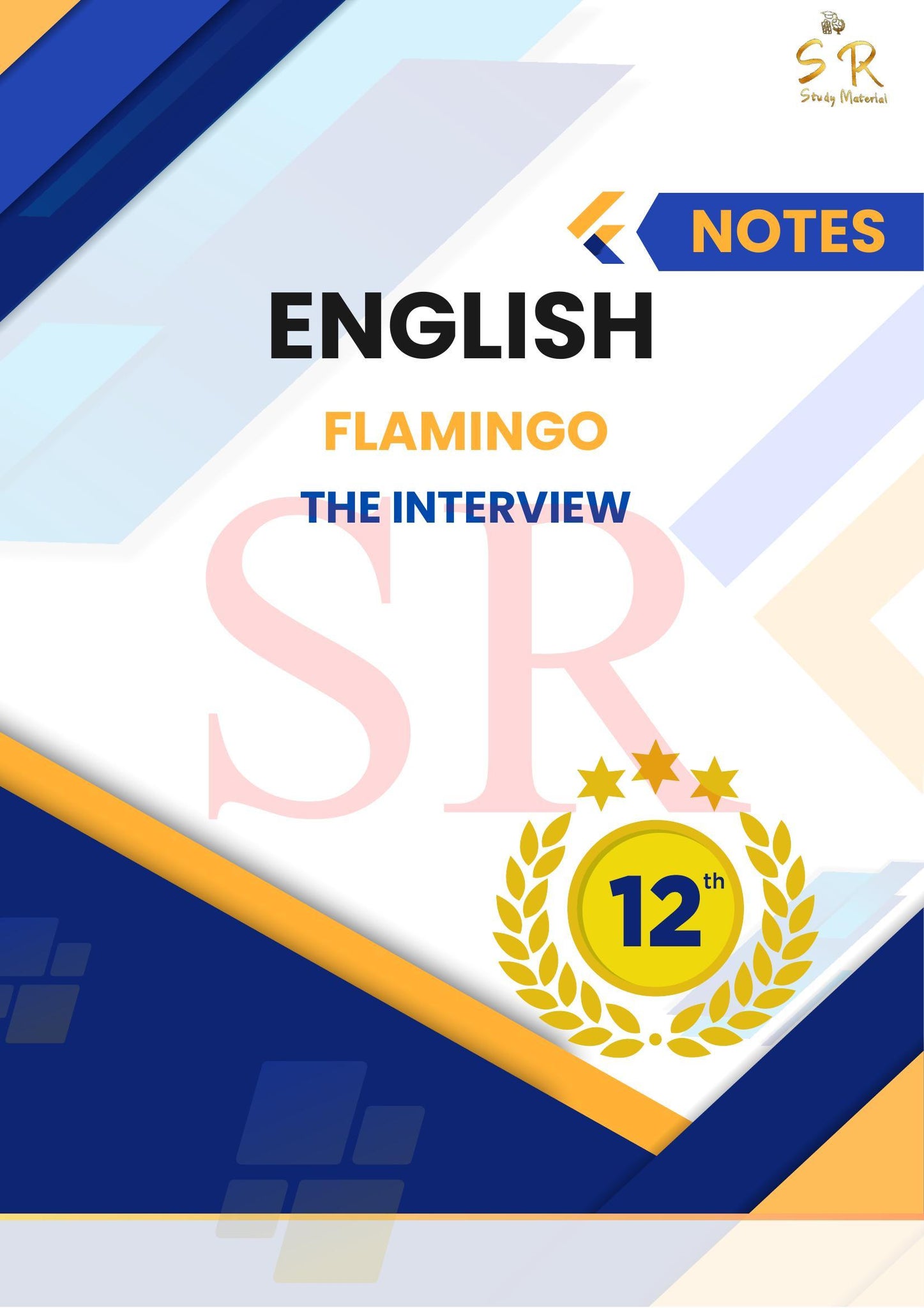 Class 12 - English - Flamingo Chapter 7 - The Interview Notes