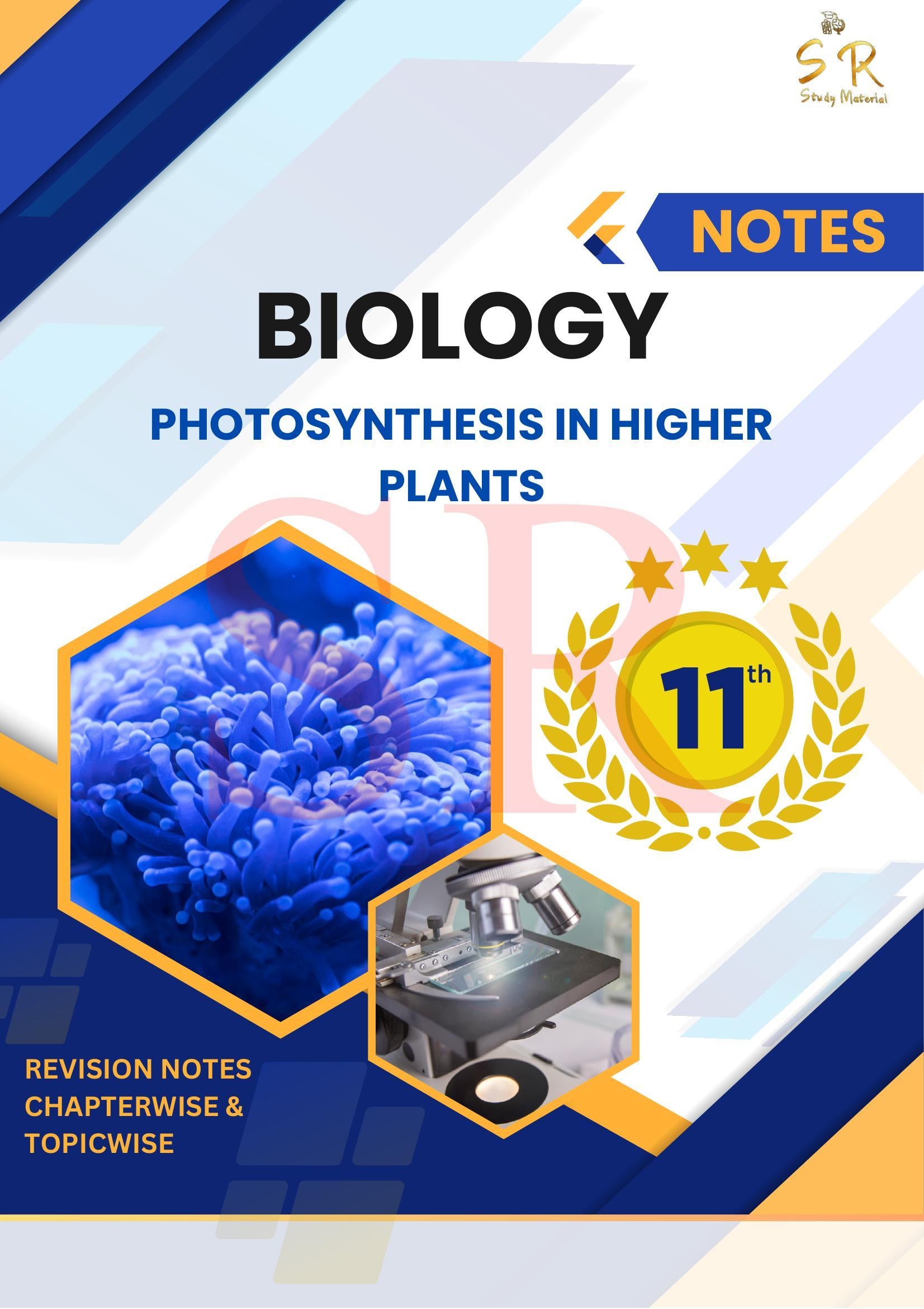 Class 11 - Biology Chapter 13 - Photosynthesis in Higher Plants Notes