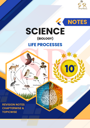 Class 10 - Science Chapter 5 - Life Processes Notes